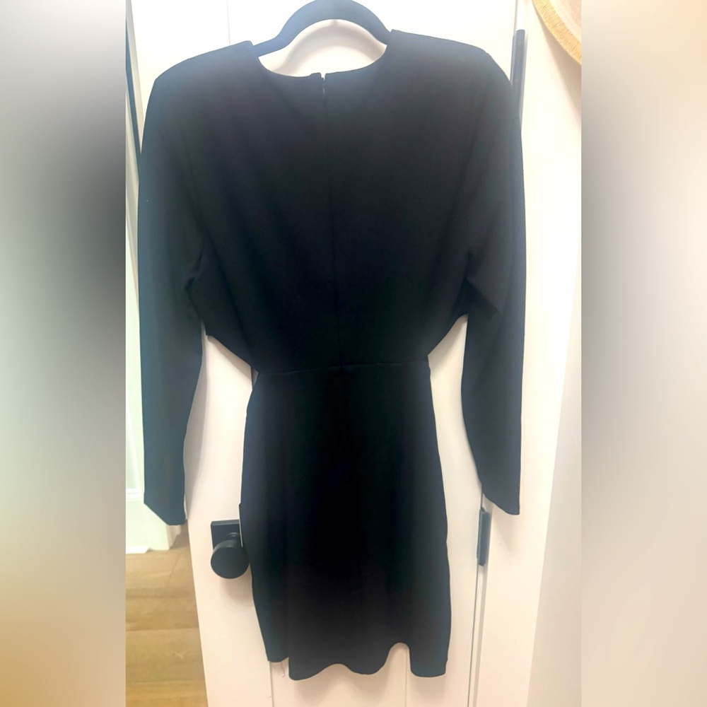 Express Black Side Cut Out Ling Sleeve Mini Dress
